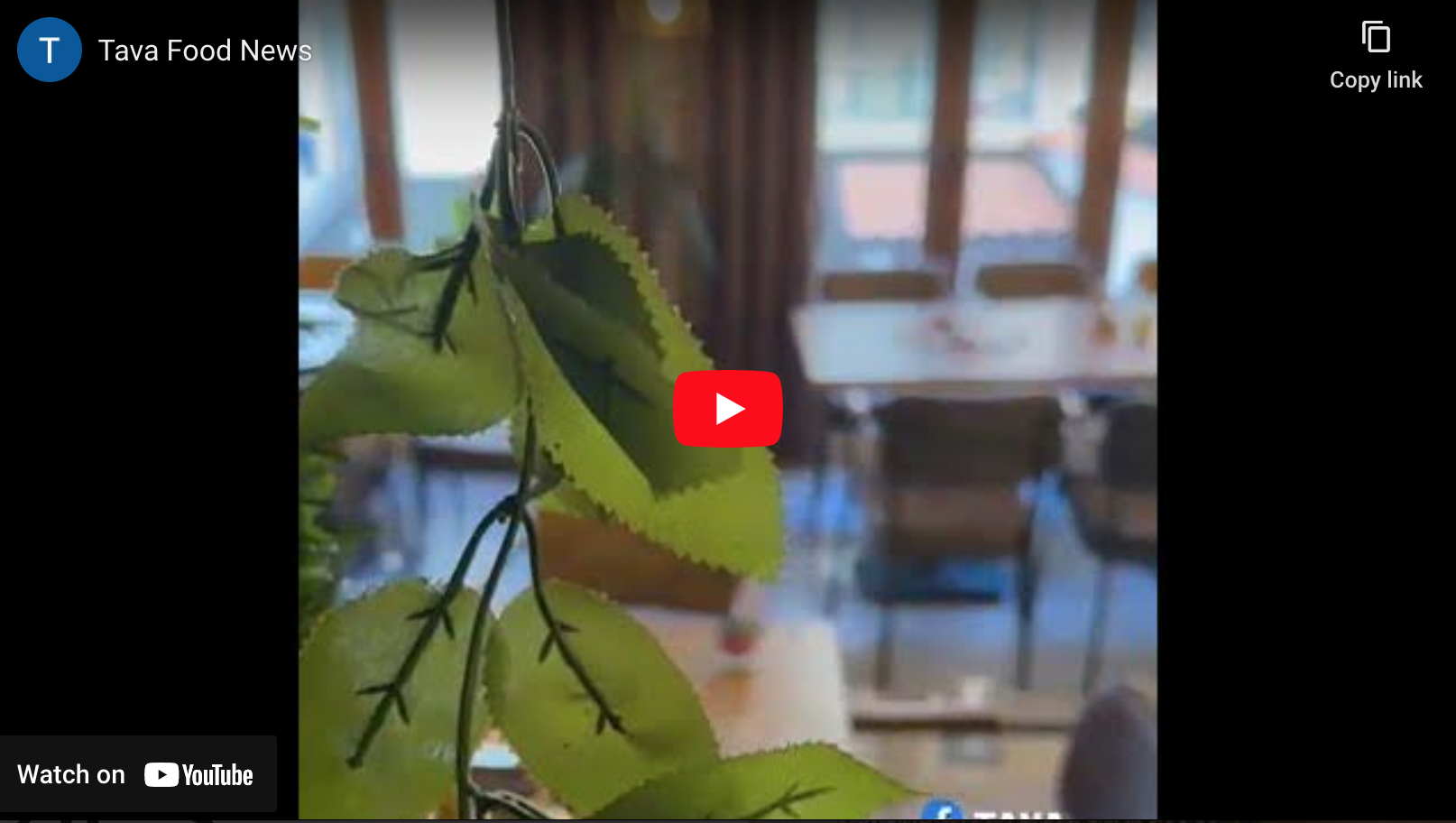 Video Image